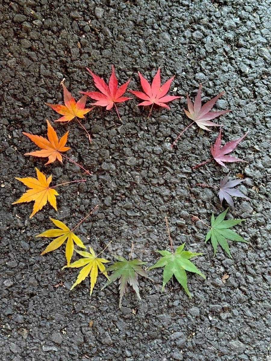 黑亞當